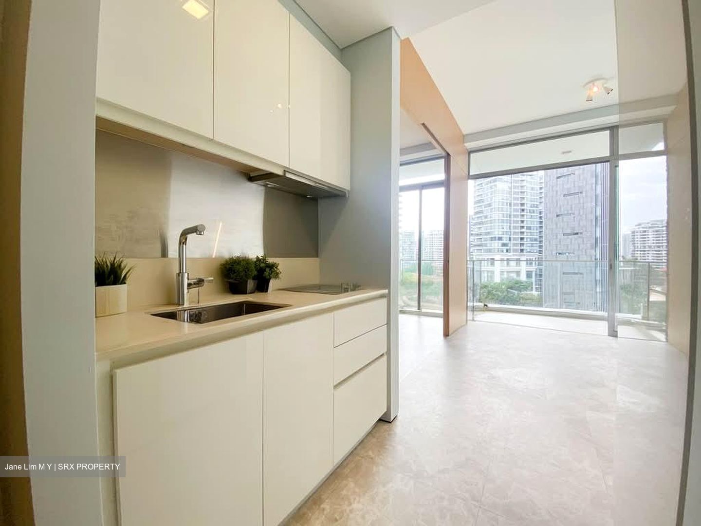The Laurels (D9), Condominium #581883711